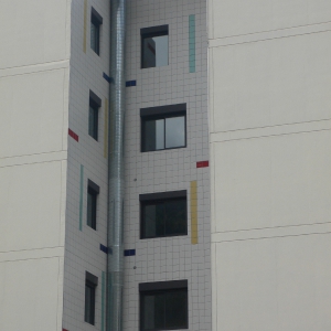 P1000555